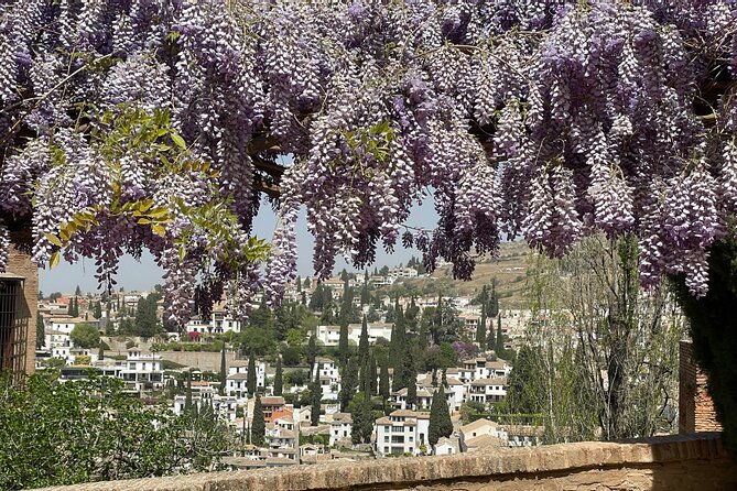 Private Tour of the Alhambra in Granada (Ticket Included) - Reviews of the Private Tour