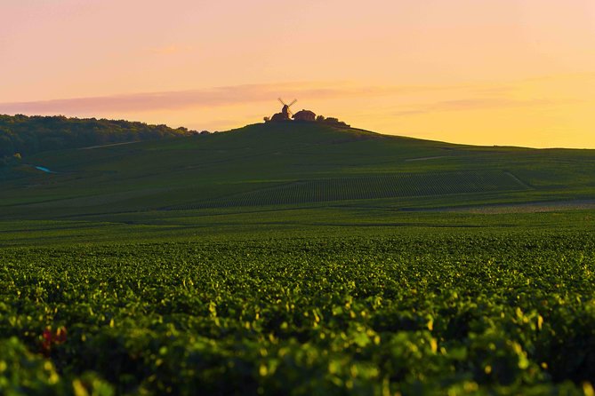 Private Tour of the Champagne Area, Meet Local Producers and Taste Their Champagne, Start From Your - Pickup Details and Logistics