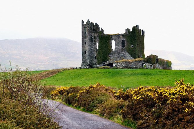 Private Tour. Ring of Kerry From Cork - Tour Highlights