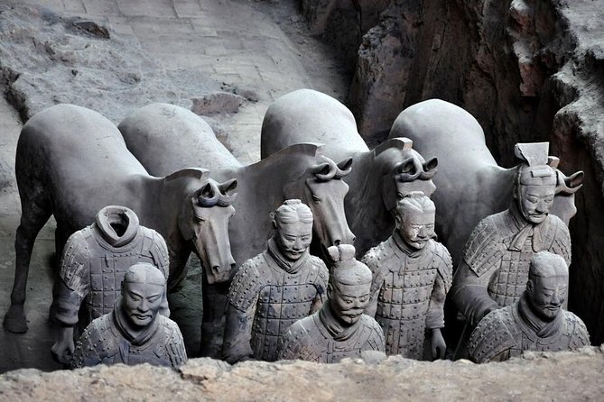 Private Tour: Terracotta Army Museum and Xian City Highlights - Traveler Experience