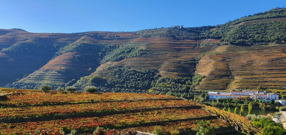 Private Tour to Douro Valley 2 Wine Tastings, Lunch and Boat - Tour Inclusions and Exclusions