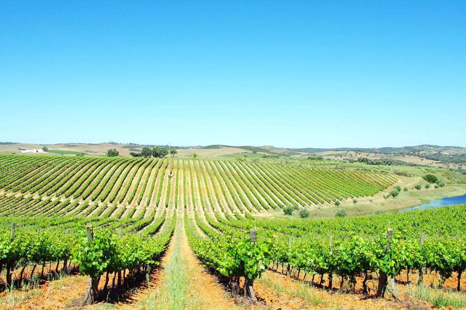 Private Tour to Évora and Alentejo With Wine Tasting - Activity Details