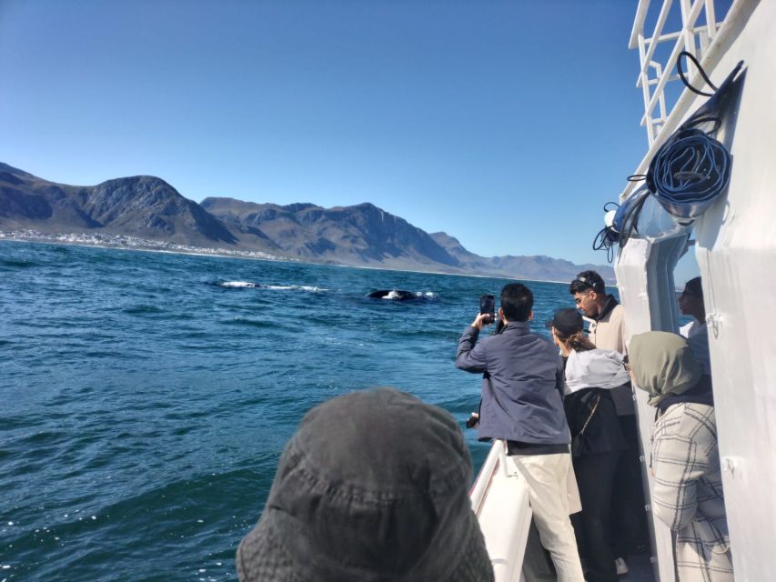 Private Tour to Hermanus - Tour Highlights