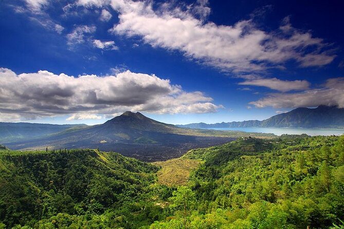 Private Tour: Waterfall, Kintamani Volcano, Ubud Tour With Lunch - Inclusions and Services