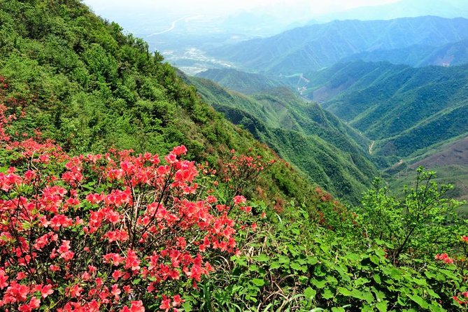 Private Tour: Yao Mountain and Tea Plantation From Guilin - Logistics