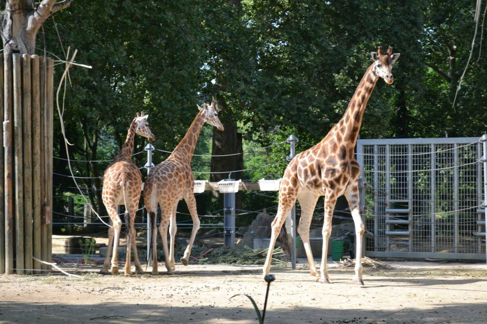 Private Transfer From Gdansk, Sopot, Gdynia to Oliwa Zoo - Experience Benefits