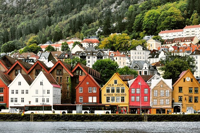 Private Transfer From Oslo to Bergen - Accessibility Information