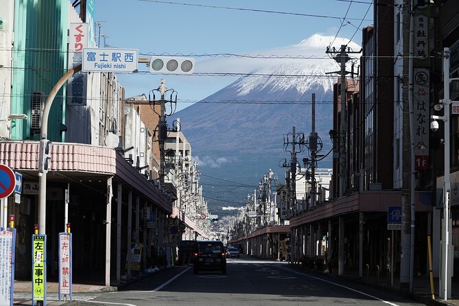 Private Transport Mt Fuji and Hakone 1 Day Trip - Meeting and Pickup Information