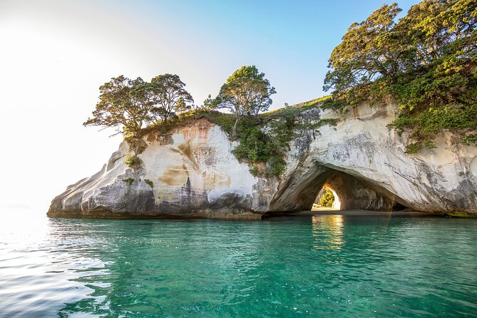 Private Trip to Coromandel - Insider Tips for a Memorable Experience