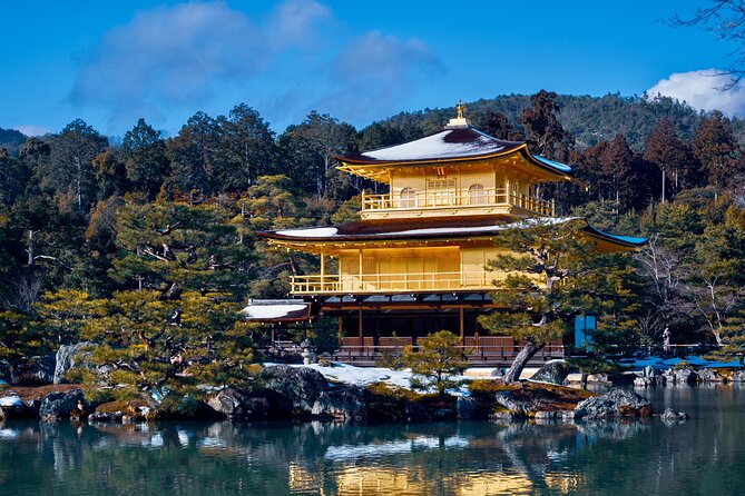 Private Van - Deep Kyoto & Arashiyama Tour (Full-English Guide) - Customer Experiences