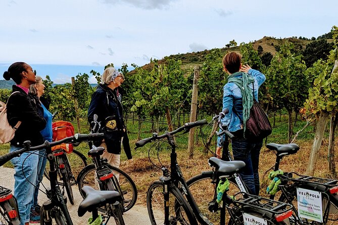 Private Wachau Valley Bike Tour - Inclusions and Exclusions