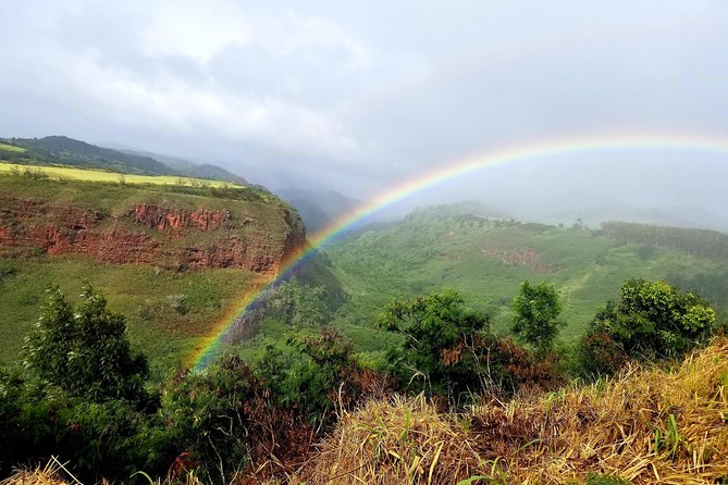 Private Waimea Canyon Tour - Capturing Memorable Moments