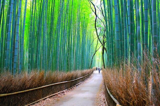 Private Walking Tour in Bamboo Forest & Hidden Spots in Arashiyama - Historical Gems in Sagano