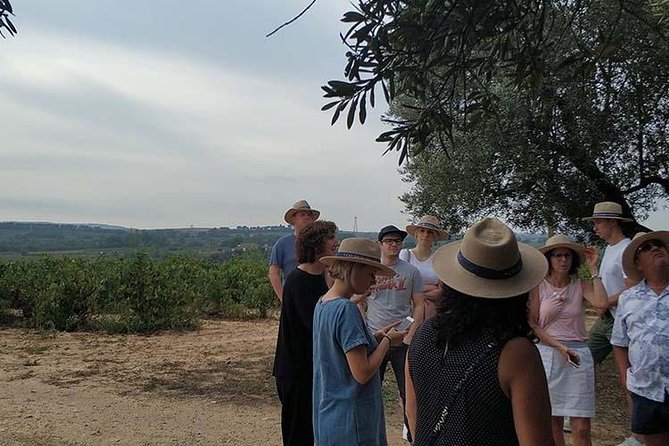 Private Wine & Cava Tasting Tour in Penedés Region With Hotel Pick up - Customer Reviews