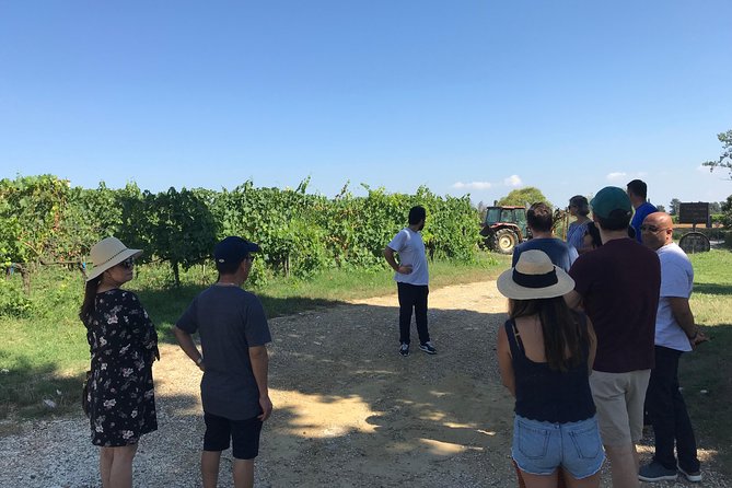 Private Wine Tour - Lucca Hills and Montecarlo (2 Wineries) - Traveler Feedback