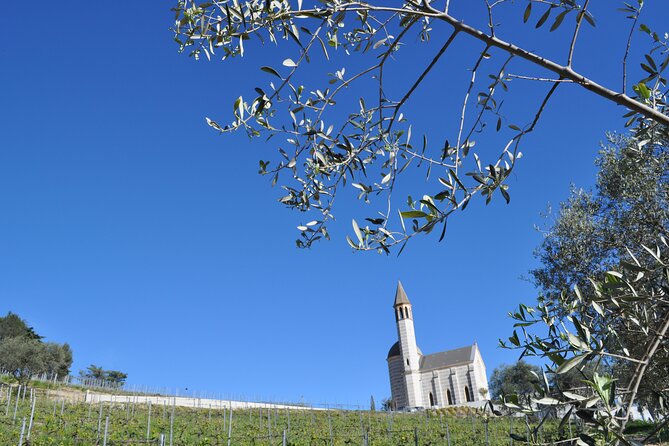 Private Wine Tour of the Vineyards on the French Riviera - Scenic Views and Landscapes