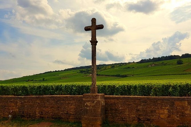 Private Wine Tour to Burgundy Region From Paris - Exclusive Wine Tasting Experiences