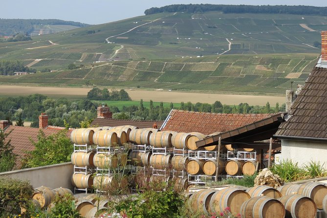Private Wine Tour to Champagne Region From Paris - Inclusions