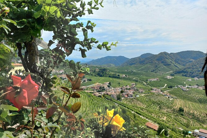 Prosecco Hills Tour With Wine Tasting & Lunch From Venice Treviso - Lunch in Prosecco Hills