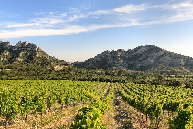 Provence and Wine Tasting by E-Bike From Saint-Rémy-De-Provence - Booking Information