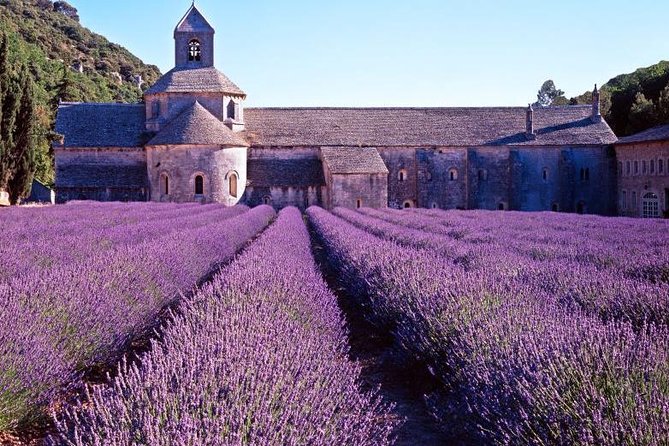 Provence Countryside Full-Day Private Tour From Nice - Private Vehicle and Driver