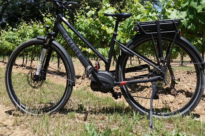 Provence Electric Bike Rental From Saint-Rémy-De-Provence - Booking and Reservation Process