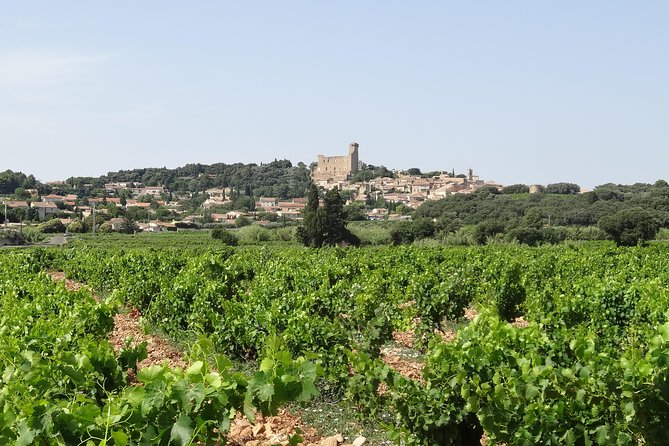 Provence Grand Tour With Avignon, Orange, Chateauneuf-Du-Pape - Inclusions and Logistics