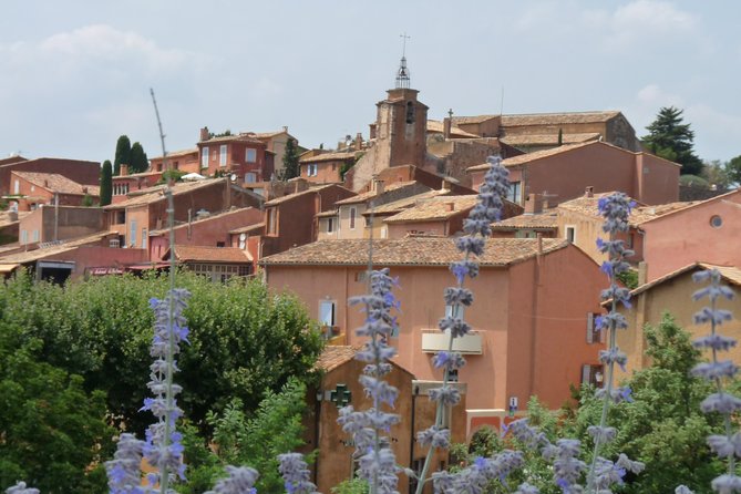 Provence Lavender Full Day Tour From Avignon - Meeting Point and Logistics