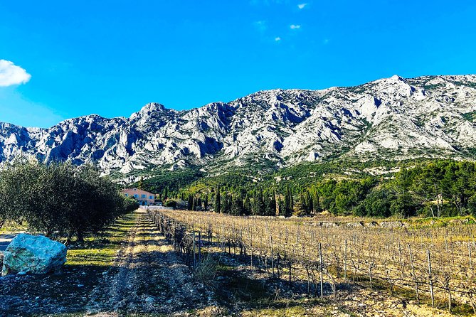 Provence - Mont Sainte Victoire in Search of Cézanne Private Wine Tour - Logistics