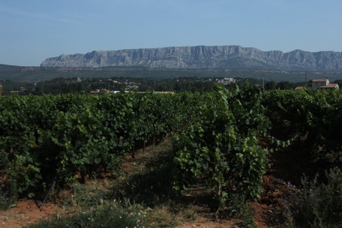 Provence Wineries and Luberon Villages Day Trip From Aix-En-Provence - Village Exploration