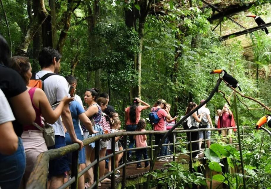 Puerto Iguazu: Iguaza Falls Brazilian Side & Bird Park Tour - Experience
