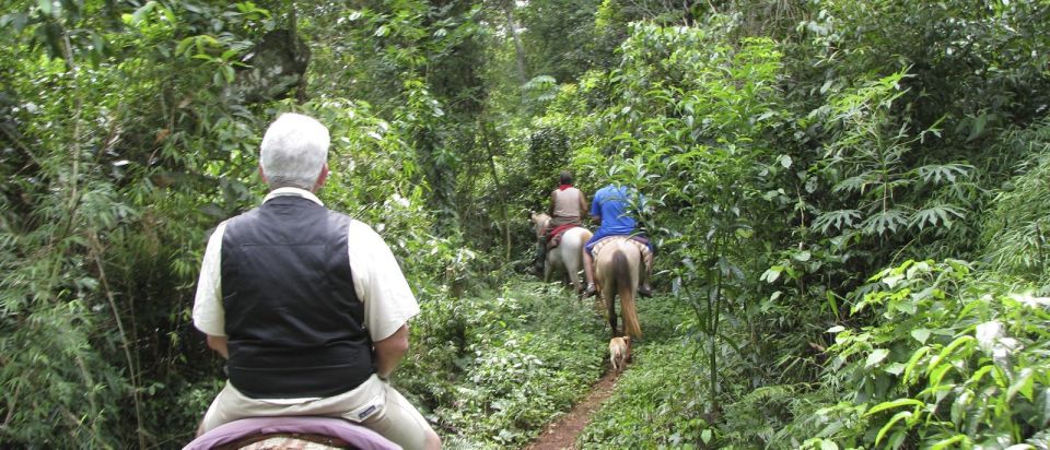 Puerto Iguazu: Jungle Horseback Ride With Guaraní Community - Booking Information