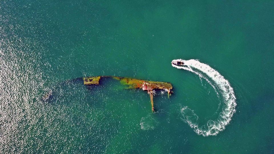 Puerto Madryn: 3-Hour Snorkeling Trip With Sea Lions - Optional Pickup and Drop-off Service