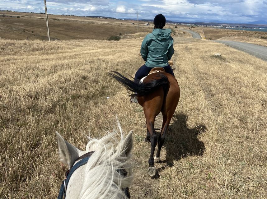 Puerto Natales: Horseback Riding With Horse Connection - Inclusions