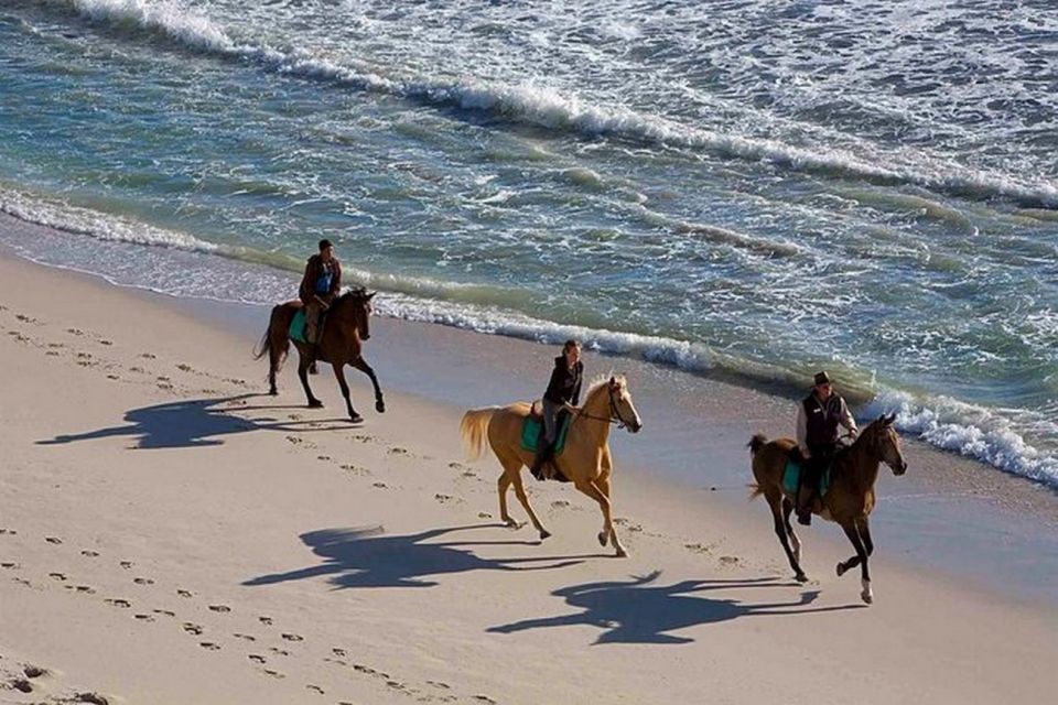 Puerto Plata: 2-Hour Horseback Ride on the Beach - Experience Highlights