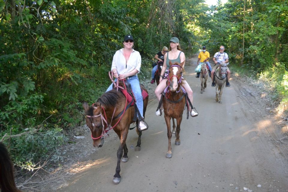 Puerto Plata: Mountain Horse Ride Tour With Drinks - Experience Highlights of the Tour