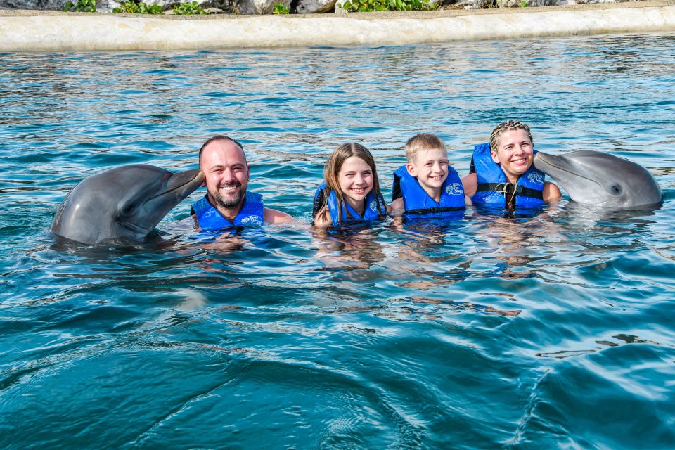 Puerto Plata: Ocean World Adventure Park Swim With Dolphins - Experience Highlights