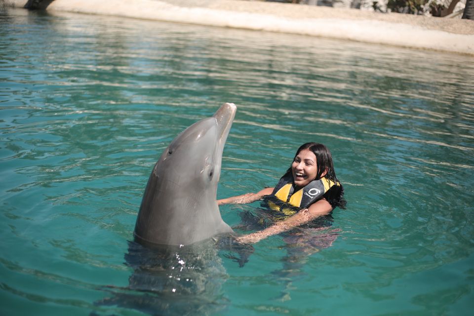 Puerto Plata Ocean World Dolphin Swim - Experience Highlights