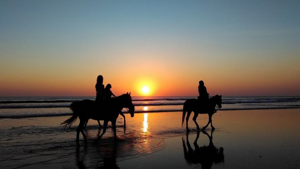 Puerto Plata: Sunset Beach Horseback Riding Tour - Review & Feedback