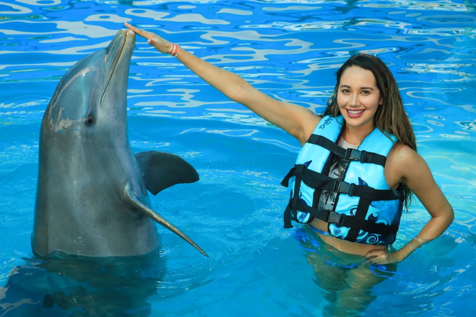 Puerto Vallarta: Dolphin Swimming and Aquaventuras Park - Experience Highlights