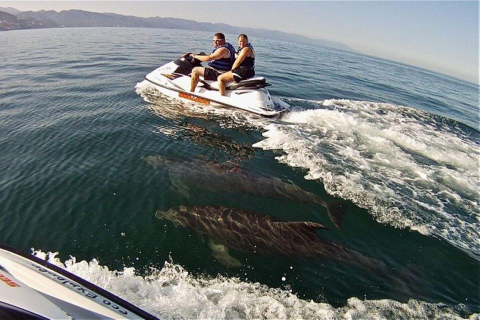 Puerto Vallarta: Jet Ski Safari - Experience Highlights