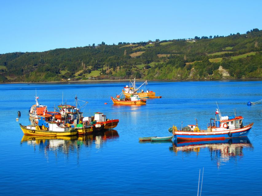 Puerto Varas: Fullday Chiloe Island Tour Castro and Dalcahue - Highlights of the Experience