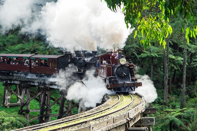 Puffing Billy And Phillip Island Penguin Parade Bus Tour - Notable Experiences