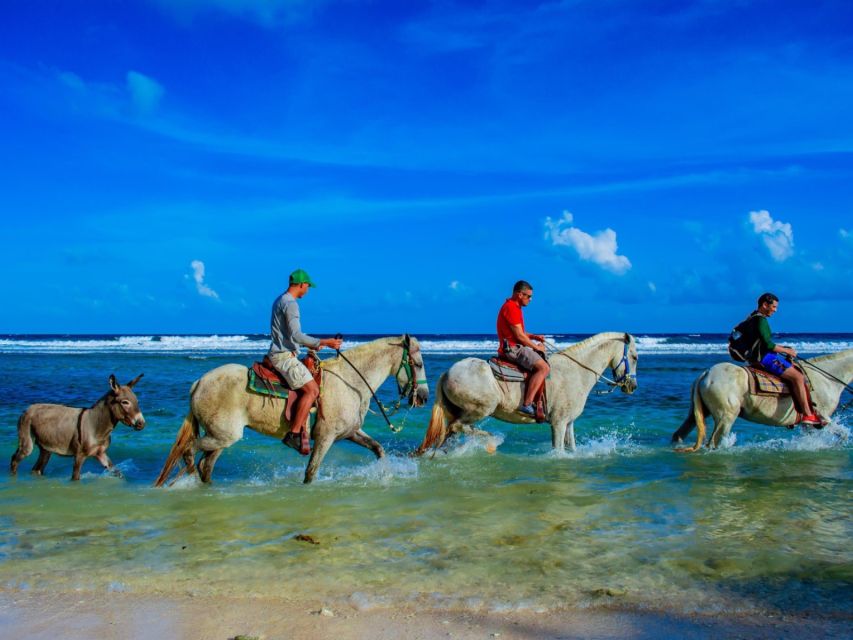 Punta Cana: 1 Hour of Horseback Riding With Hotel Pickup - Breathtaking Vistas of Uvero Alto Beach