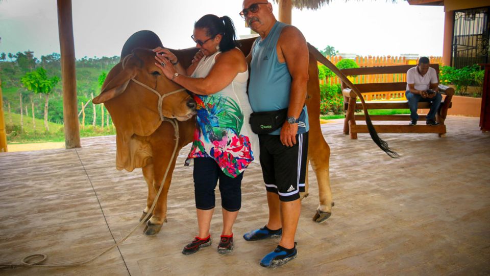 Punta Cana: 3 Tour Zip Line, Buggy and Horse Ride. - Activity Highlights