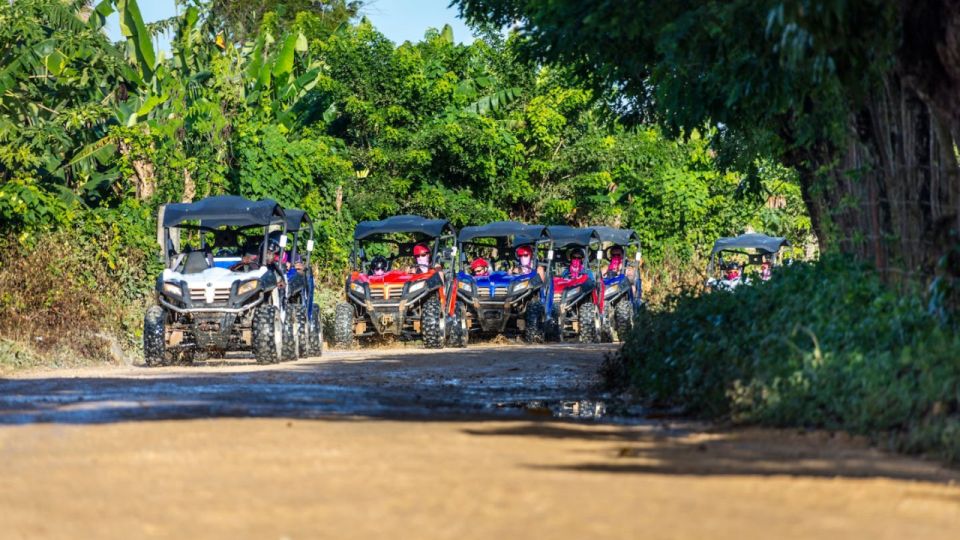 Punta Cana: Amazing Buggy Polaris and 4wheels - Activity Duration and Tour Guides