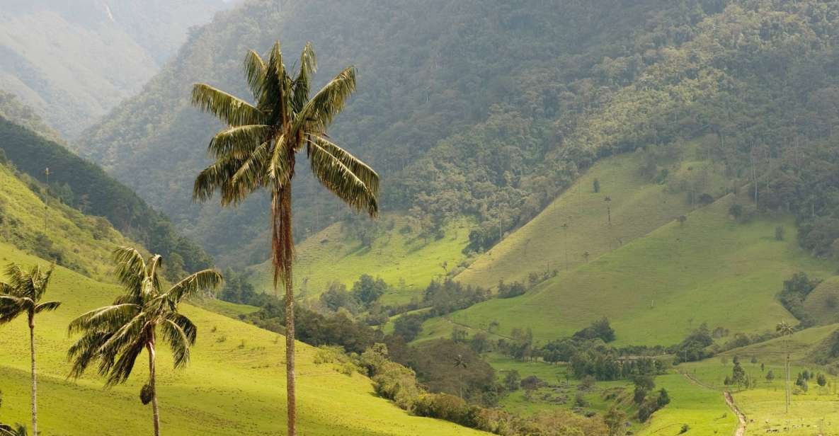 Punta Cana: Anamaya Mountains Walking Tour With Tasting - Experience Highlights and Attractions
