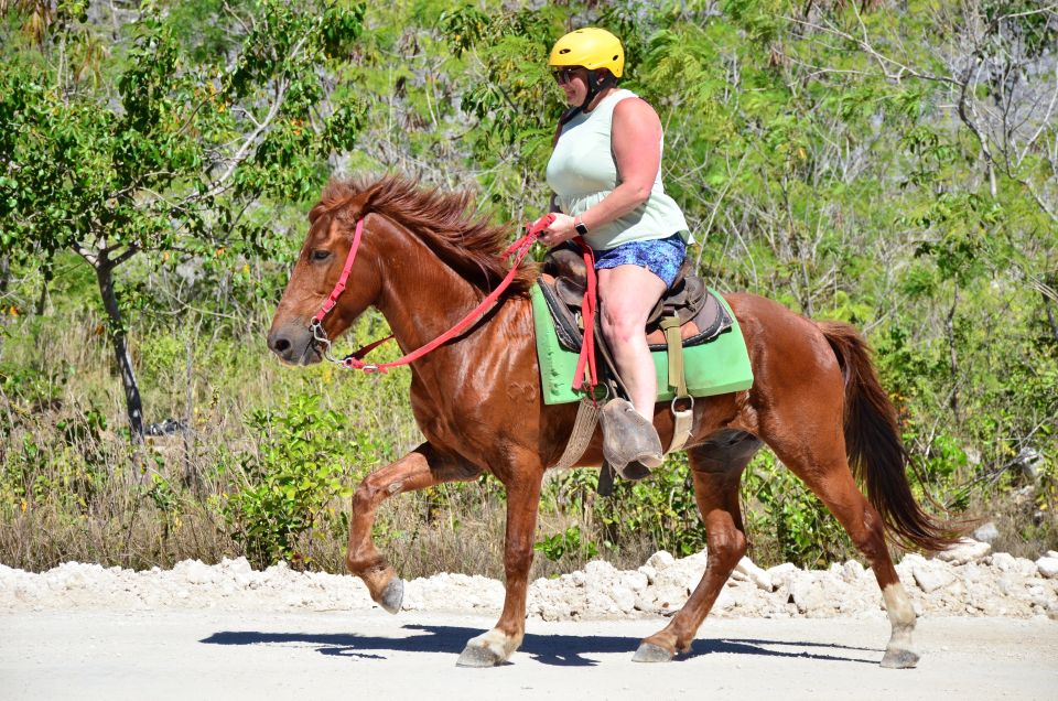 Punta Cana: Bávaro Adventure Park Horse Riding & Waterfalls - Insider Tips