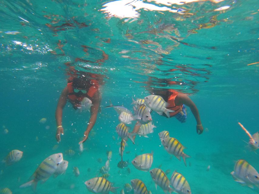 Punta Cana: Catalina Island Catamaran Cruise With Snorkeling - Inclusions in the Activity Package