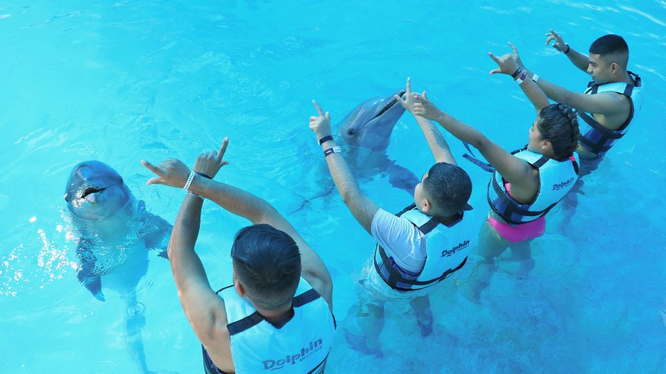 Punta Cana: Dolphin Discovery Swims and Encounters - Experience Duration and Group Size